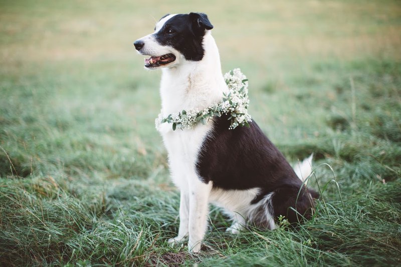 Trouwfeest%20buiten%3F%20Leuke%20zomertrends%20-%20House%20of%20Weddings