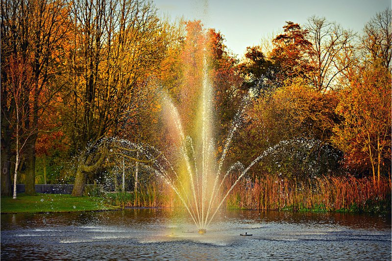 Het%20Vondelpark%2C%20een%20top%20locatie%20voor%20je%20huwelijksaanzoek%20in%20Amsterdam%20-%20House%20of%20Weddings